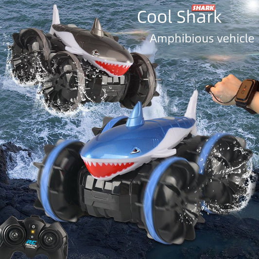 Amphibious Dual Remote Control Car