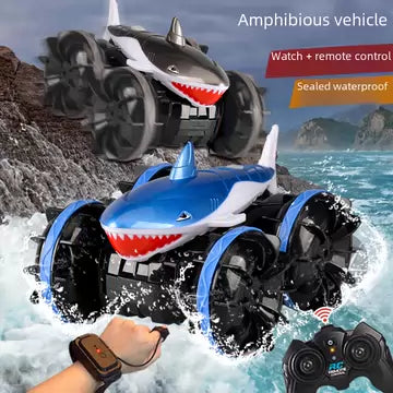 Amphibious Dual Remote Control Car